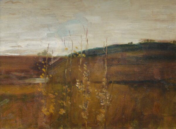 Demeter Koko, Landschaft