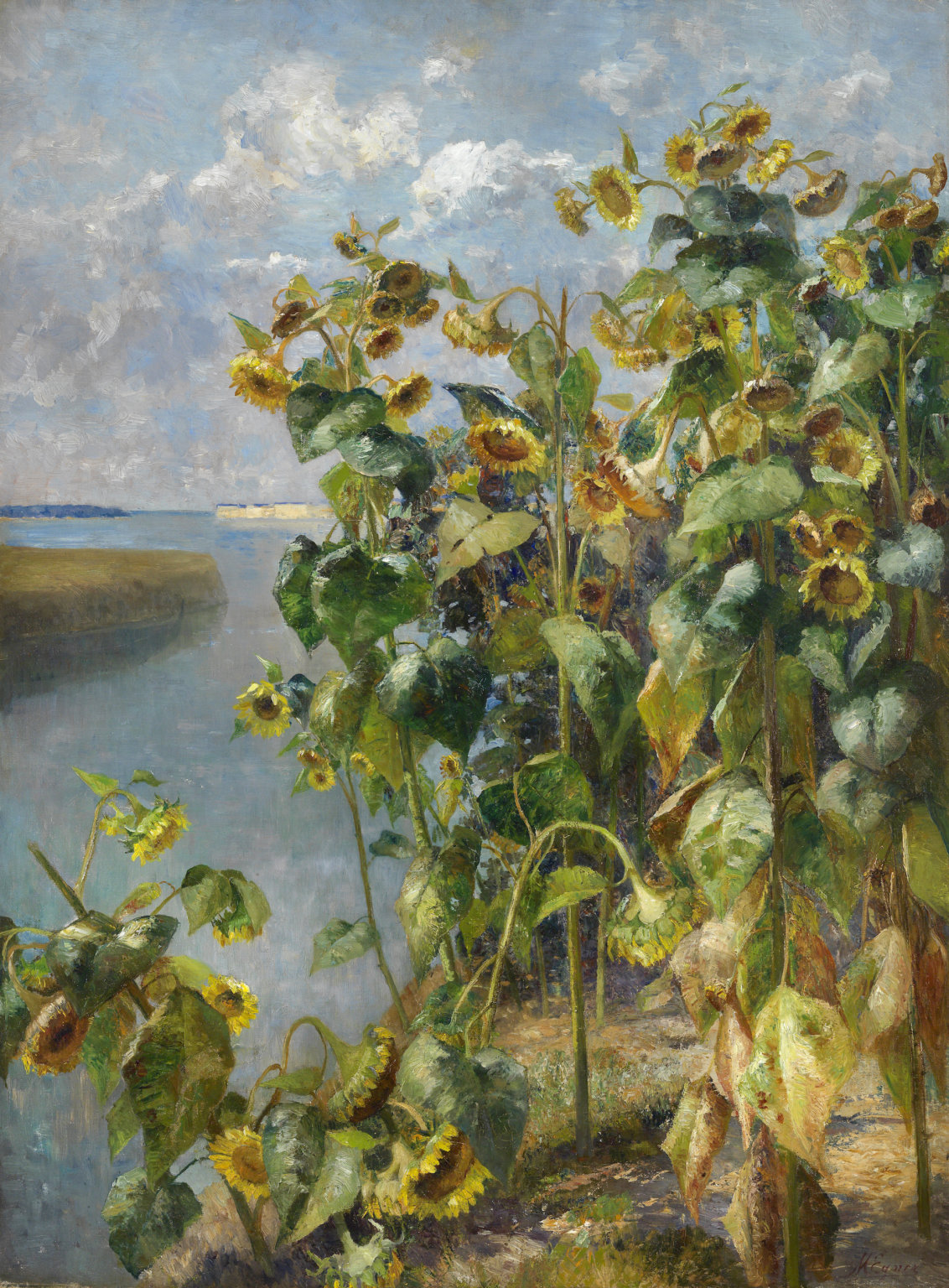 Marie Egner, Sonnenblumenfeld bei Venedig - Gemälde
