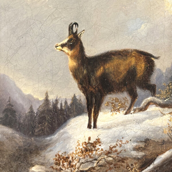 Franz Xaver Pausinger, Gams