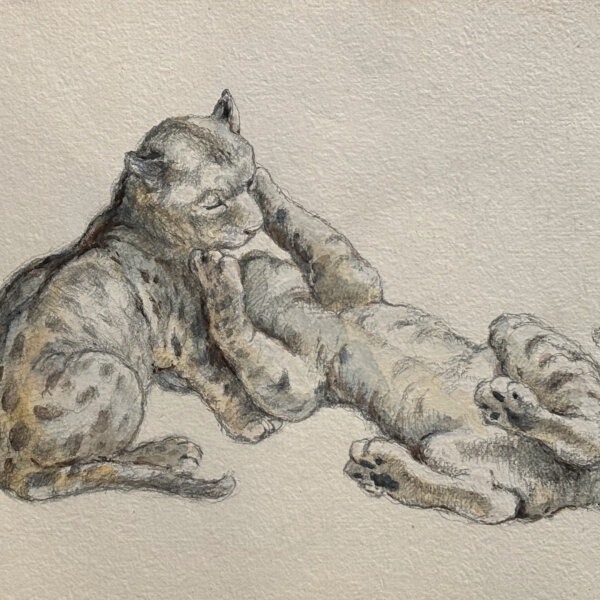 Norbertine Bresslern-Roth, Löwenbabys