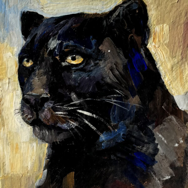 Carl Fahringer, Panther