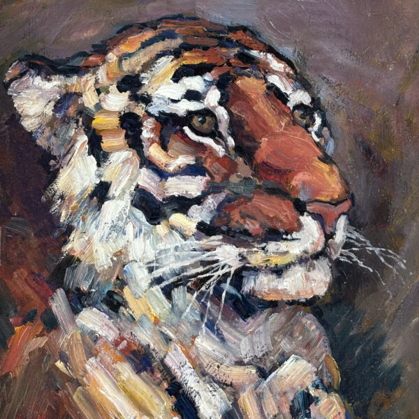Carl Fahringer, Tiger