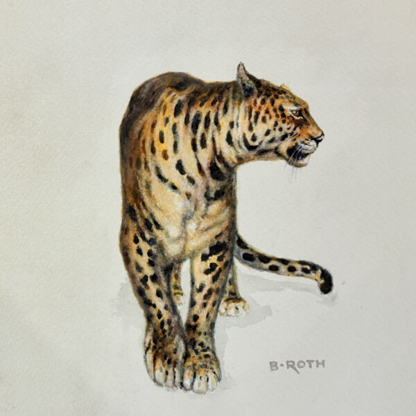 Norbertine Bresslern-Roth, Leopard