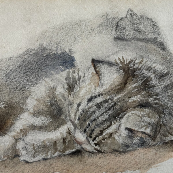 Alexander Pock, Katze