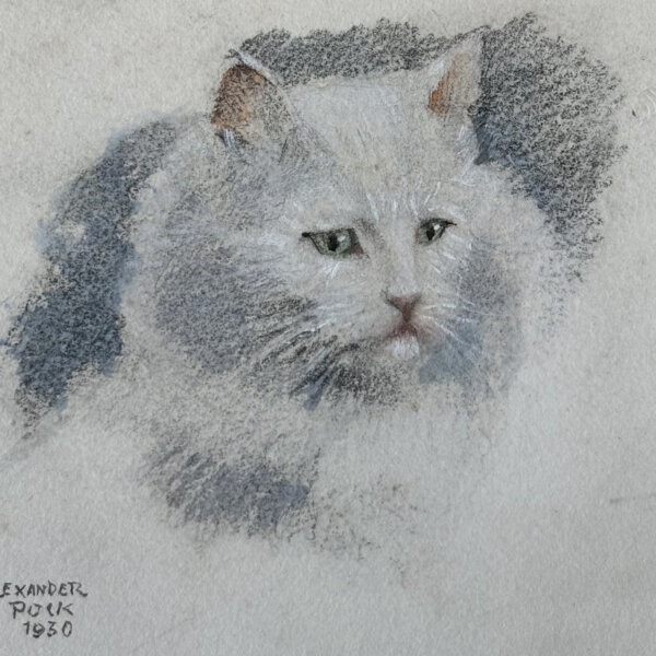 Alexander Pock, Katzenportrait