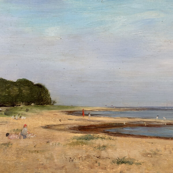 Emilie Mediz-Pelikan, Nordseeküste