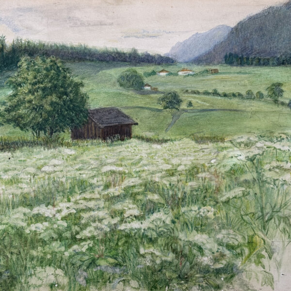 Oswald Grill, Wiesenlandschaft im Salzkammergut